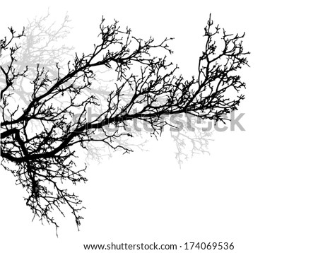 Branches Stock Photos, Images, & Pictures 