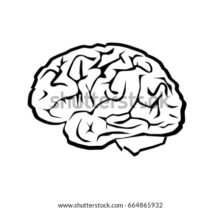 Line Drawing Brain Stock Vector 68284600 - Shutterstock