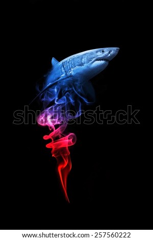 shark great blood beautiful shutterstock