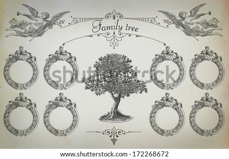 Genealogical Tree Stock Photos, Images, & Pictures | Shutterstock