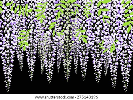 Wisteria vine Stock Photos, Images, & Pictures | Shutterstock