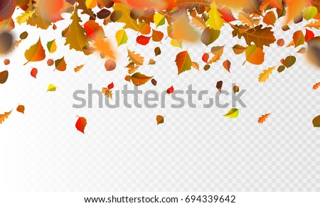 Stock vector illustration autumn falling leaves on transparent checkered background. Autumnal foliage fall and poplar leaf flying in wind motion blur. Orange design for autumn design. EPS10 Stock vector illustration autumn falling leaves on transparent checkered background. Autumnal foliage fall and poplar leaf flying in wind motion blur. Orange design for autumn design. EPS10