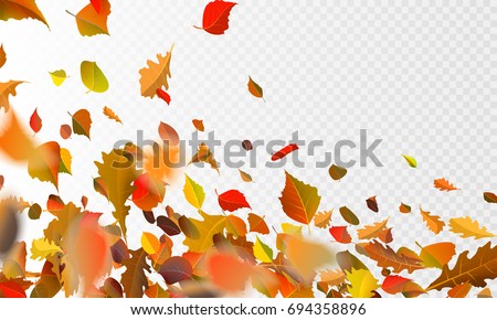 Stock vector illustration autumn falling leaves on transparent checkered background. Autumnal foliage fall and poplar leaf flying in wind motion blur. Orange design for autumn design. EPS10 Stock vector illustration autumn falling leaves on transparent checkered background. Autumnal foliage fall and poplar leaf flying in wind motion blur. Orange design for autumn design. EPS10