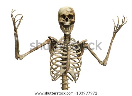 screaming skull stock photos images amp pictures screaming skull stock photos images amp pictures
