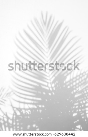 Lamyai's Portfolio on Shutterstock