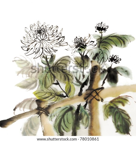 Chinese chrysanthemum garden ink painting on white background.  stock 