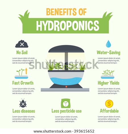 Hydroponics Stock Images, Royalty-Free Images &amp; Vectors ...