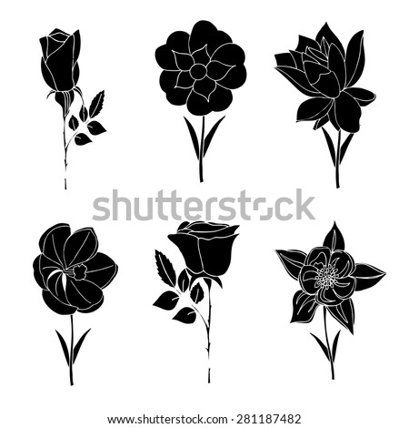 Collection Different Flowers Your Designvector Eps10 Stock Vector