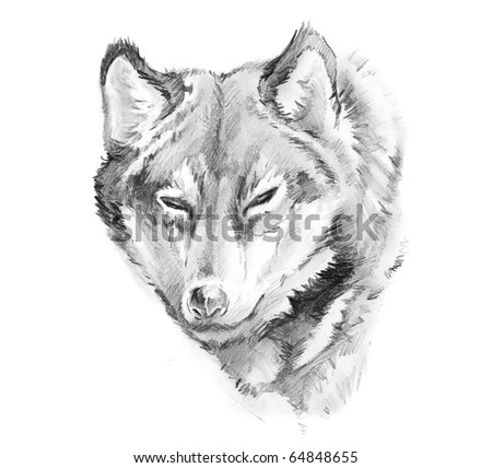 Wolf Tattoo Stock Photos, Images, & Pictures 