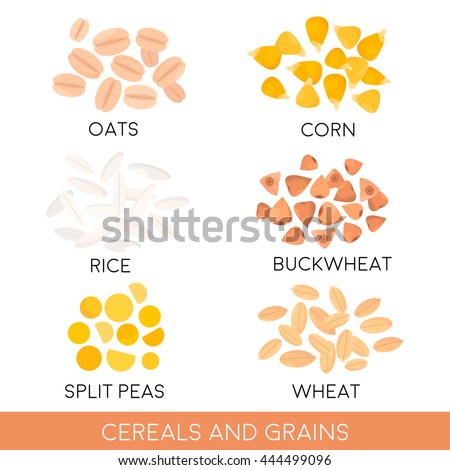 Oat Stock Images, Royalty-Free Images & Vectors | Shutterstock