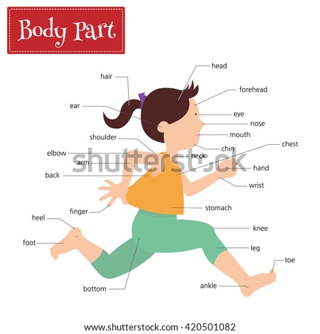 Female Internal Body Parts Name - Free art print of Foot reflexology