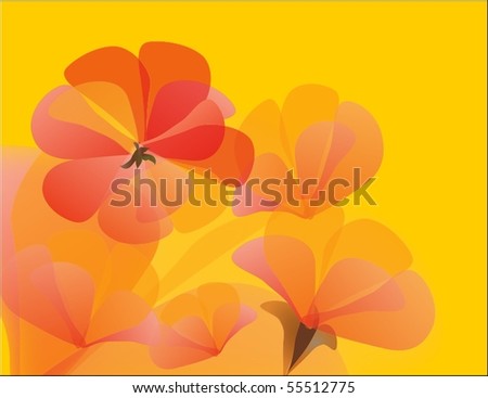 Orange Red Flowers Isolated On White Stock Illustration 55512778