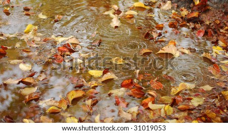 diploma watermark paper diploma watermark paper