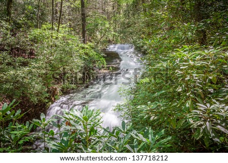  - stock-photo-gentle-feather-glen-cannon-falls-rages-on-a-flood-day-137718212