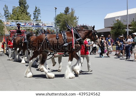 Alameda county fair coupons