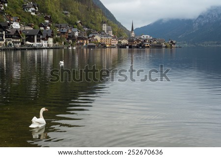 swan church shutterstock portfolio