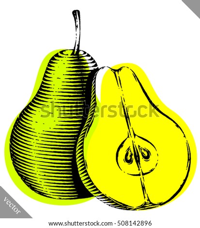 Simple Vector Pear Illustration Stock Vector 74520958 - Shutterstock