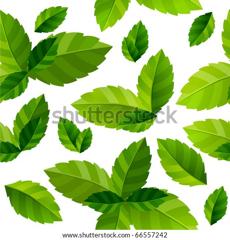 Seamless background with fresh green mint leaves - stock vector