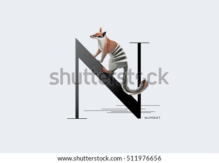 Numbat Stock Images, Royalty-Free Images & Vectors | Shutterstock