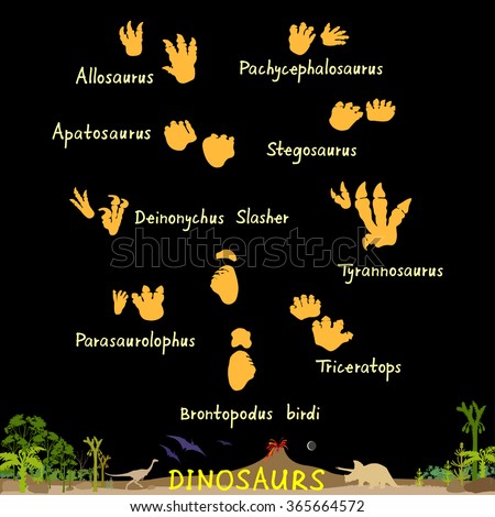 apatosaurus footprint