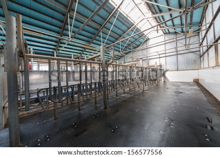 Empty hangar with equipment for milking cows - stock photo