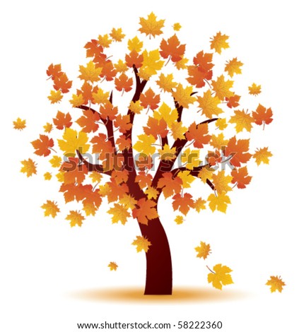 Autumn Tree Stock Photos, Images, & Pictures | Shutterstock