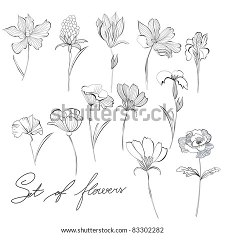 Flower sketch Stock Photos, Images, & Pictures | Shutterstock