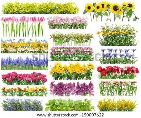 Cartoon Flower Bed Summer flowers bed and floral
