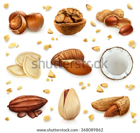 Nuts in the shell, vector icon set - stock vector Nuts in the shell, vector icon set - stock vector