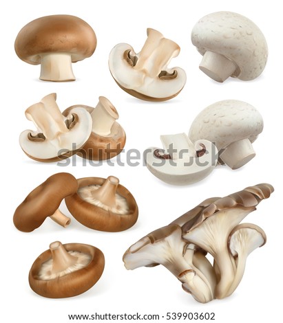 Edible mushrooms. Shiitake, oyster, cremini, white button. 3d vector icons set Edible mushrooms. Shiitake, oyster, cremini, white button. 3d vector icons set