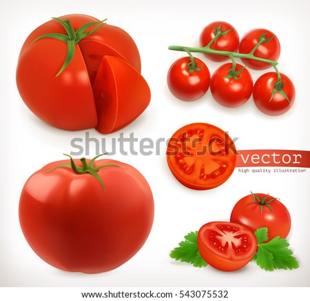 Tomato. Vegetable 3d vector icon set Tomato. Vegetable 3d vector icon set