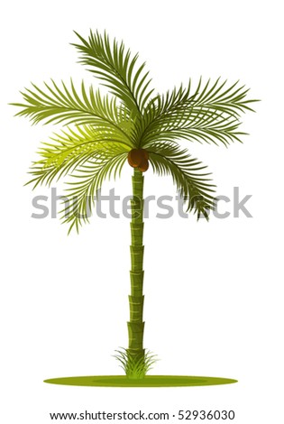 Palm Tree Stock Vector 52936030 - Shutterstock