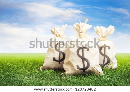 bags of money on a clear bright sky - stock photo