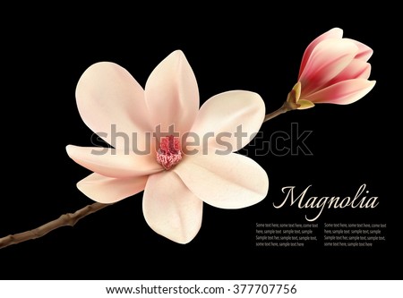 Painted spring flowers Stock Photos, Images, & Pictures | Shutterstock