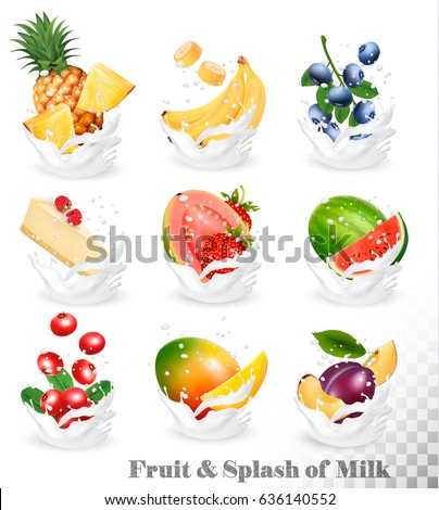 Big collection of fruit in a milk splash. Pineapple, mango, banana, pear, watermelon, blueberry, guava, strawberry, cheesecake, grawberry, raspberry. Vector Set 10. Big collection of fruit in a milk splash. Pineapple, mango, banana, pear, watermelon, blueberry, guava, strawberry, cheesecake, grawberry, raspberry. Vector Set 10.