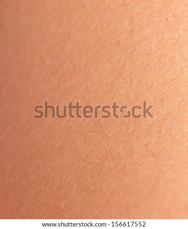 background of the human skin macro stock photo 156617564 301 moved permanently background of the human skin macro stock photo 156617564 301 moved permanently