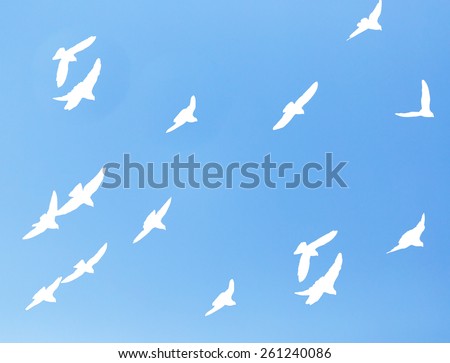 Blackjack fly pattern