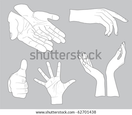 Woman Hand Stock Vectors & Vector Clip Art | Shutterstock