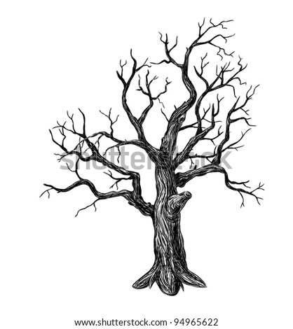 Bare Tree Stock Photos, Images, & Pictures | Shutterstock