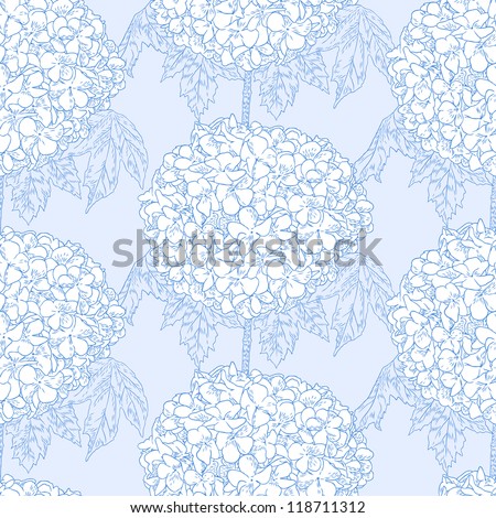 Hydrangea vector Stock Photos, Hydrangea vector Stock Photography 