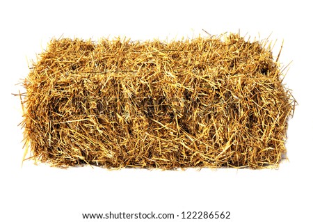 stock-photo-hay-bale-isolated-on-white-122286562.jpg