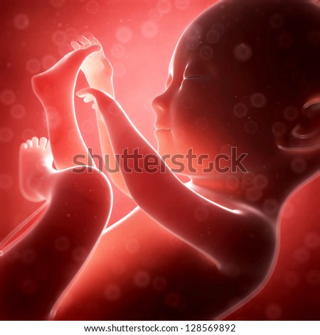 3d rendered illustration - human fetus month 7 - stock photo
