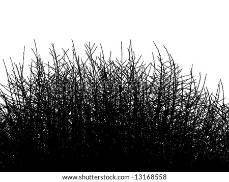 Thick tree Stock Photos, Images, & Pictures | Shutterstock