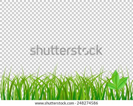 grass transparent background