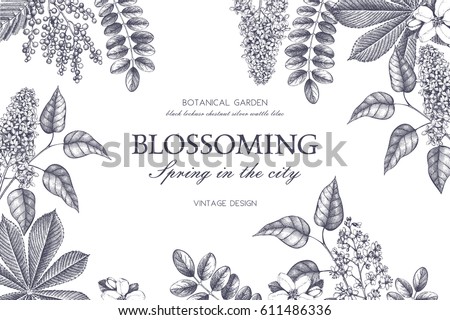 Floral card design. Vector frame with hand drawn blossoming trees. Wedding invitation template. Vintage spring illustration. Floral card design. Vector frame with hand drawn blossoming trees. Wedding invitation template. Vintage spring illustration.