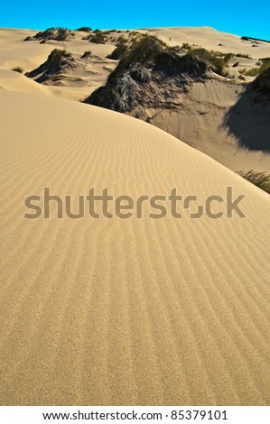 oregon coast dune sand texture lines shutterstock sharon portfolio