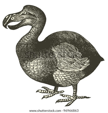 [Image: stock-vector-dodo-bird-didus-ineptus-vin...966863.jpg]
