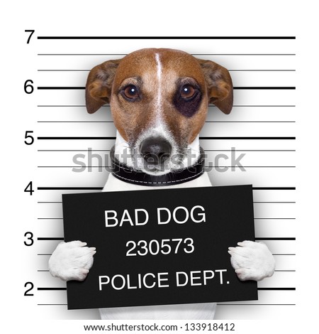 stock-photo-mugshot-of-wanted-dog-holdin