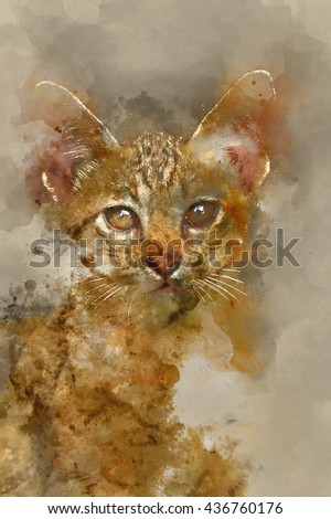 Bengal Stock Photos, Royalty-Free Images &amp; Vectors - Shutterstock