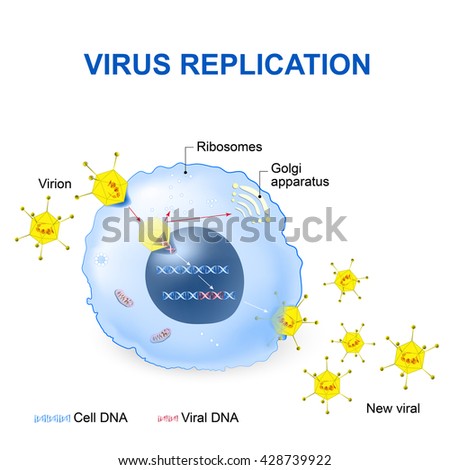 Retrovirus Stock Images, Royalty-Free Images & Vectors | Shutterstock